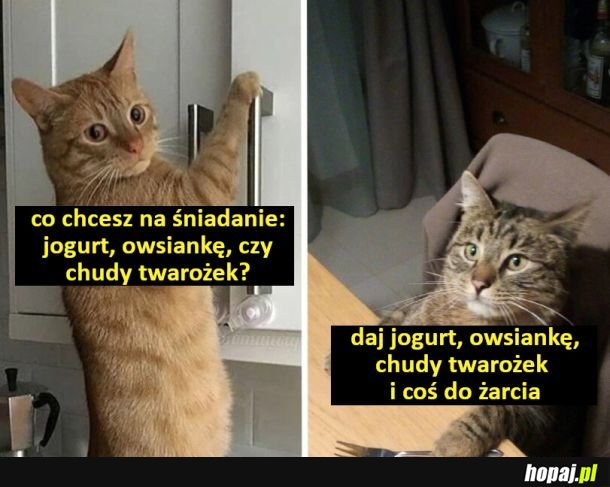 Śniadaniowe propozycje