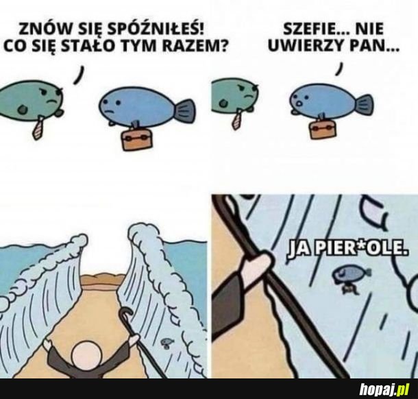 Szefie, nie uwierzysz...