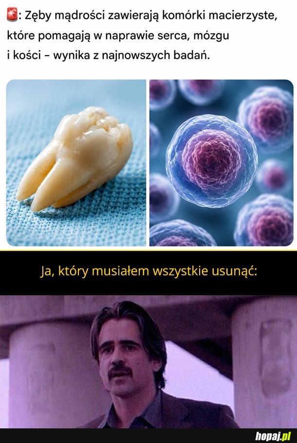 No tak, pewnie