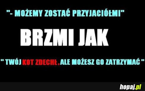 Możemy zostać przyjaciółmi...