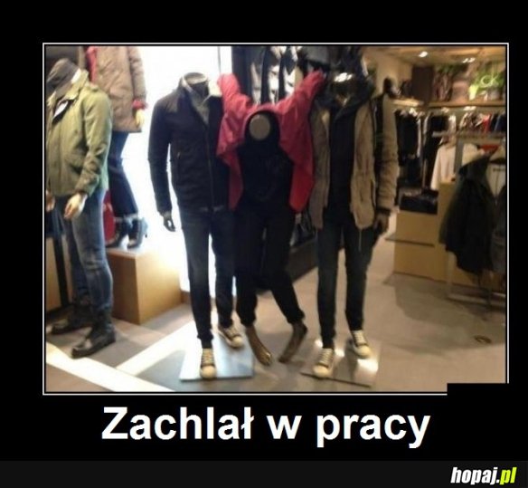 Zachlał