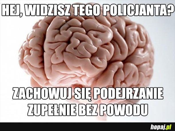 Hej widzisz