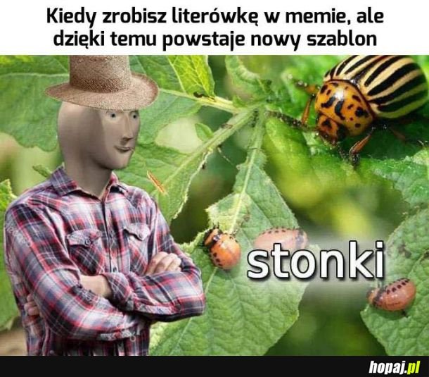  Przyjmie się 