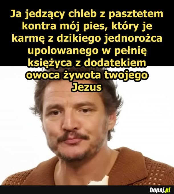 Moja dieta vs dieta psa