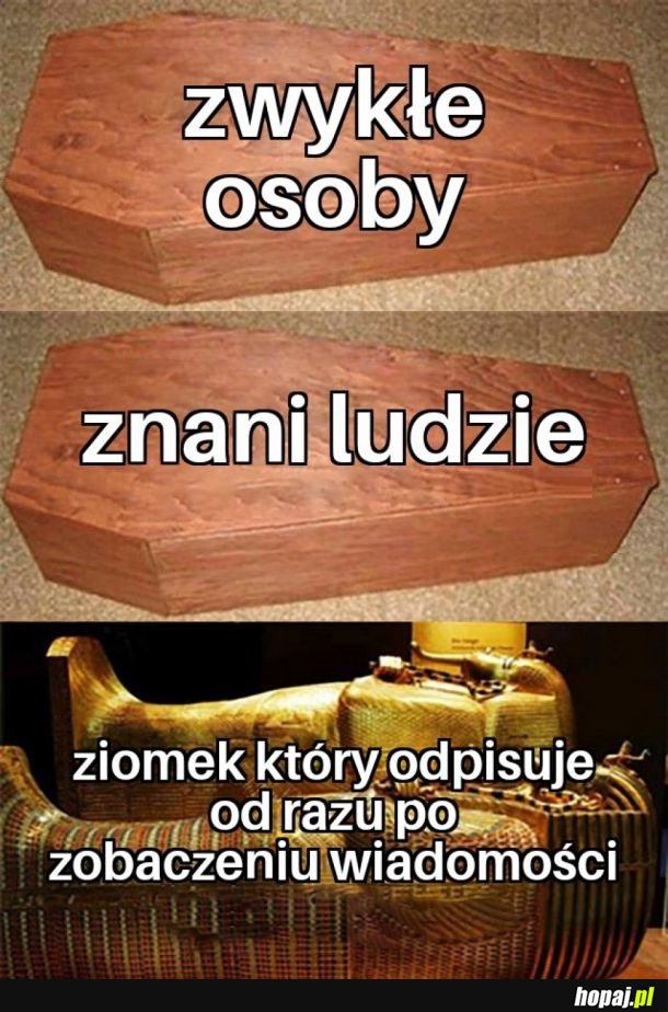 Ten ziomek