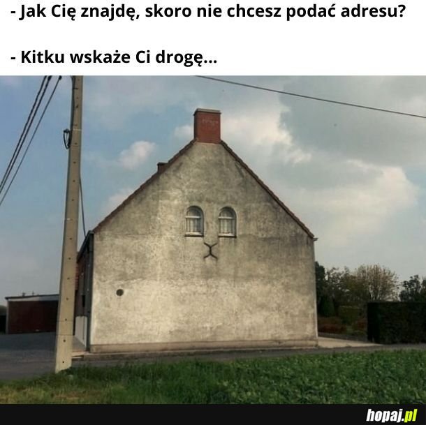 Kitku wyklęty, w domu zaklęty...
