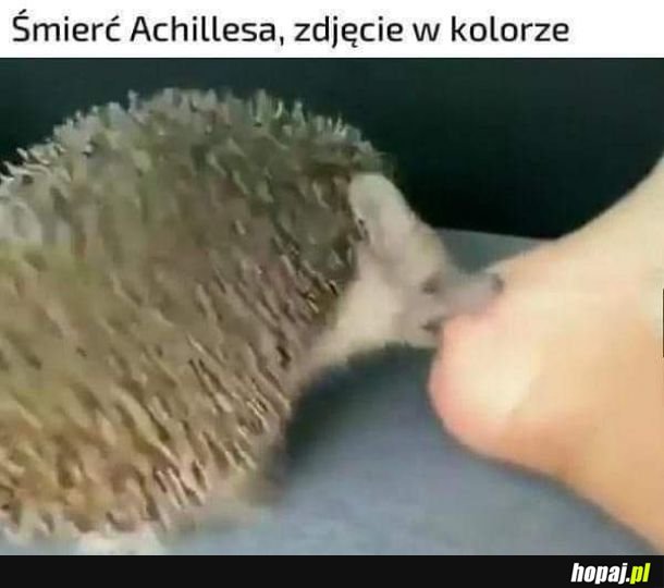 Śmierć Achillesa