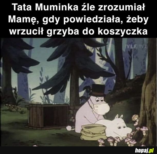 Sezon się zaczął