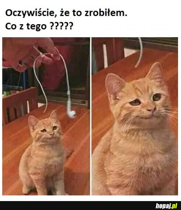 I co mi zrobisz?