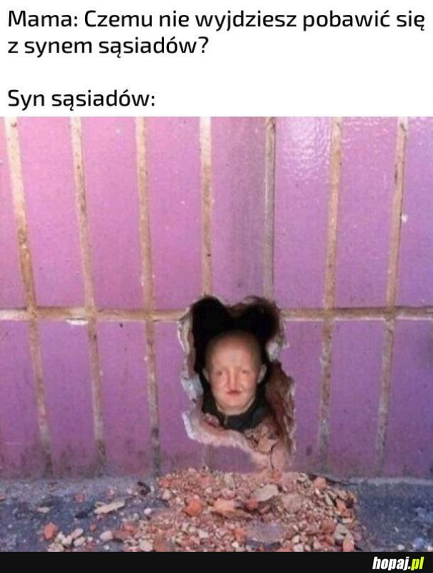 Syn sąsiadów