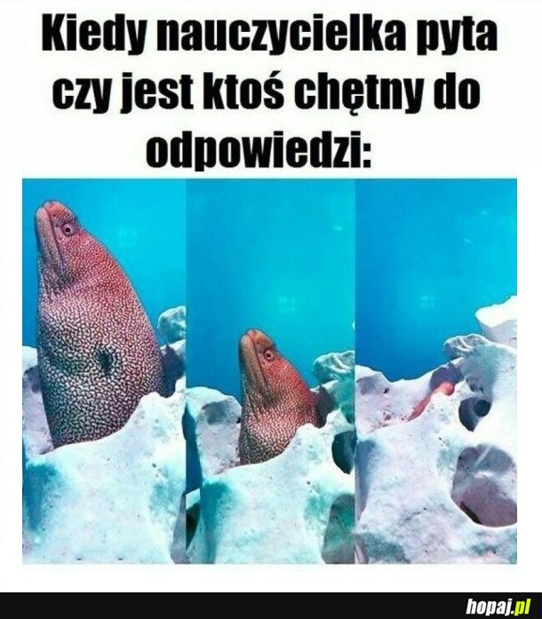 KIEDY NAUCZYCIEL PYTA POD TABLICĄ