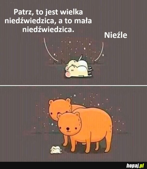 Niedźwiedzice