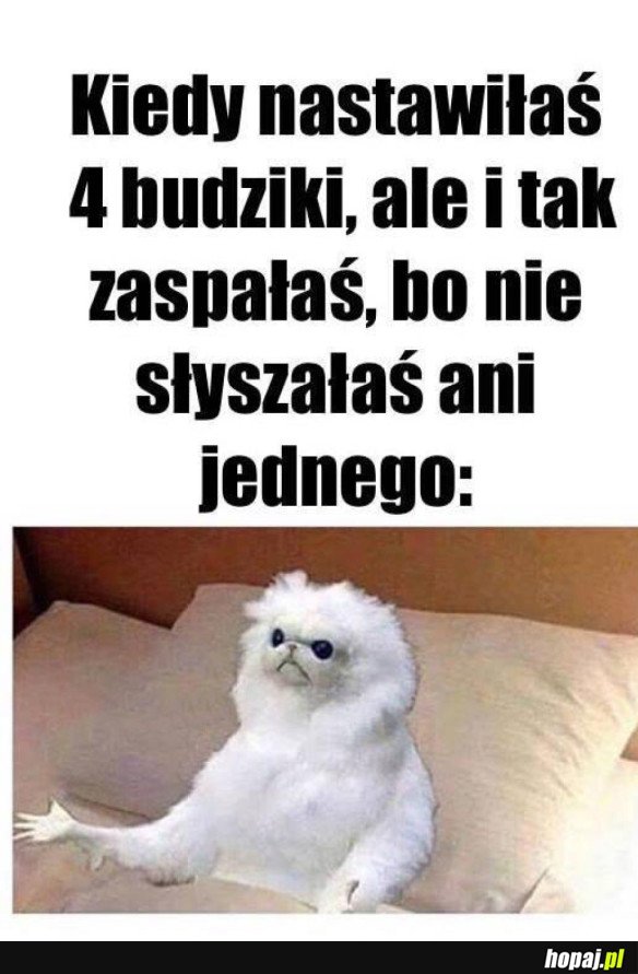 JAK TO MOŻLIWE?