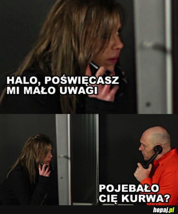 Logika lasek 