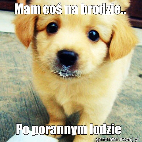 Mam coś na brodzie..