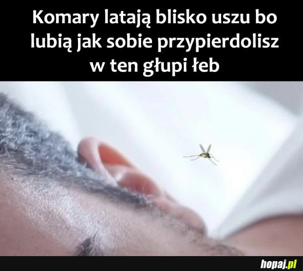 Na to nie wpadłem