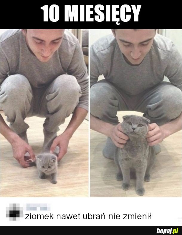 10 miesięcy