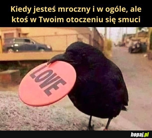 Proszę - masz moją miłość