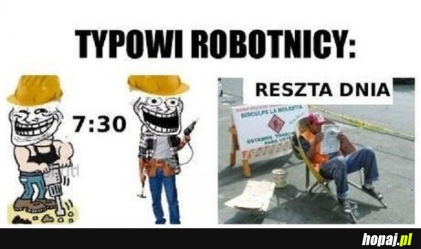 Typowy robotnicy