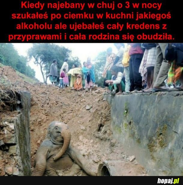 Kurde przypał