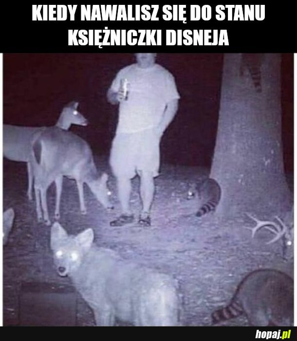 Diznej