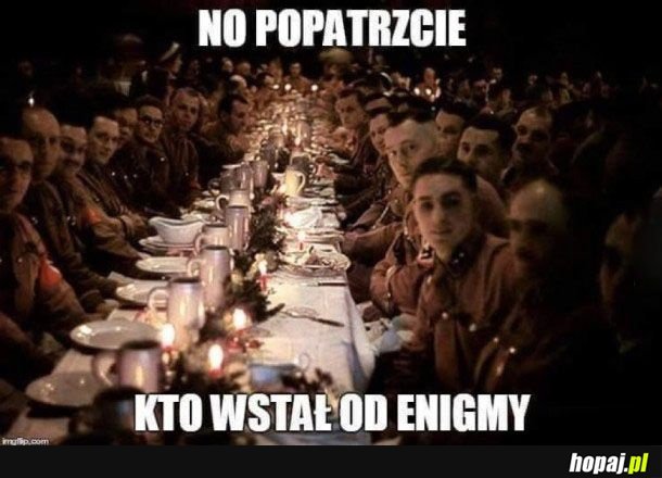 No popatrzcie