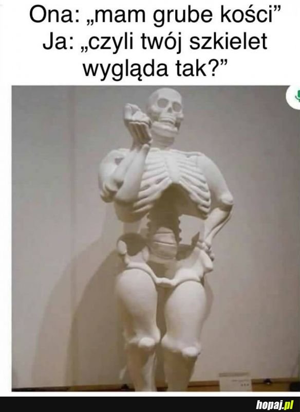 Kości
