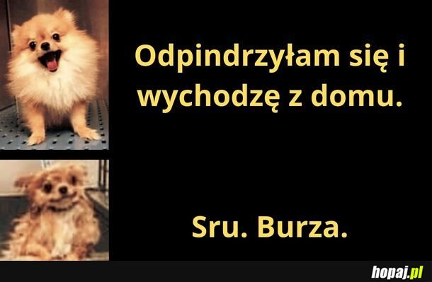 Burza.