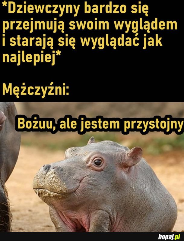 Ależ jestem piękny :&gt;