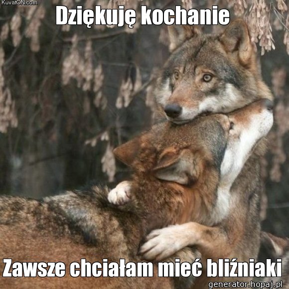 Dziękuję kochanie