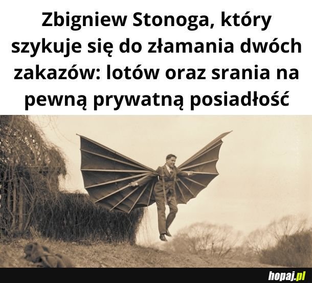 Kibicujemy!