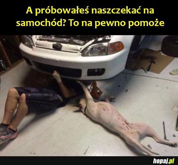 Na pewno