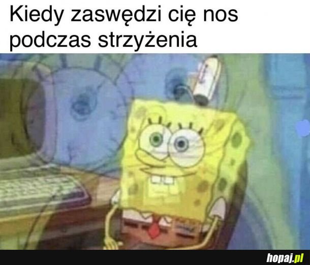 Kurde, przypał.