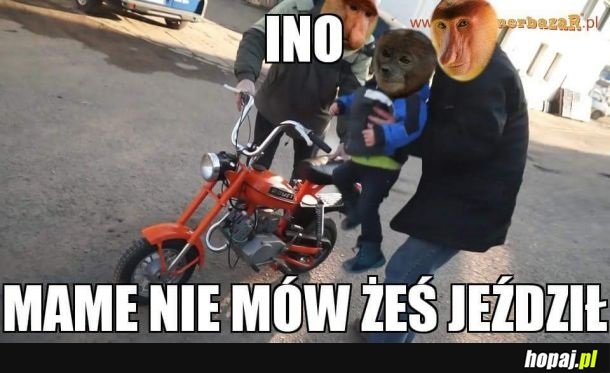 Pjoter nie mow mamie