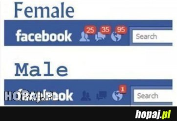 Female vs Male 