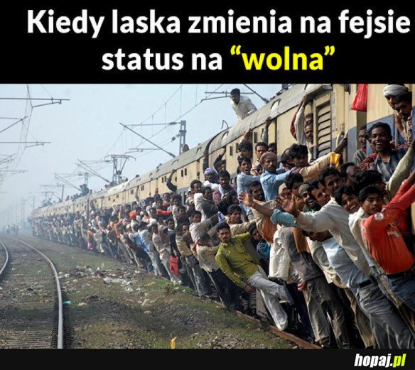 KIEDY LASKA JEST WOLNA