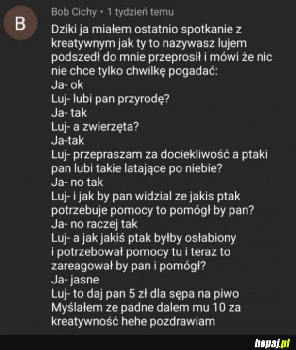 Kreatywny żul