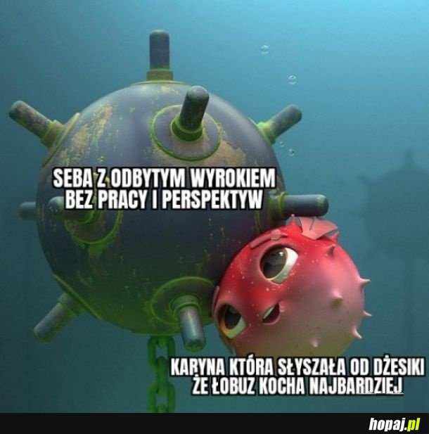 Nigdy się nie nauczą.