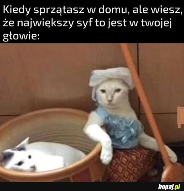 Porządki