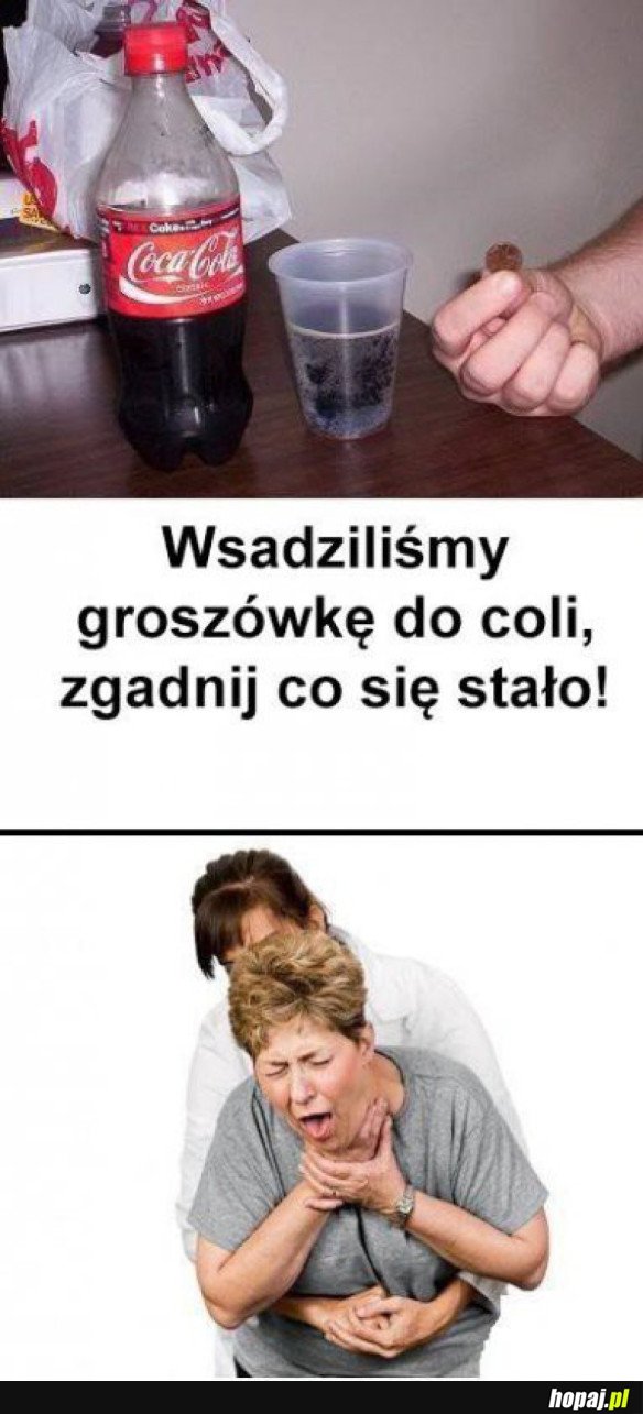 GROSZÓWKA W COLI