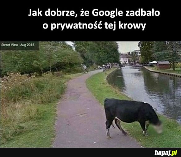 Brawo Google