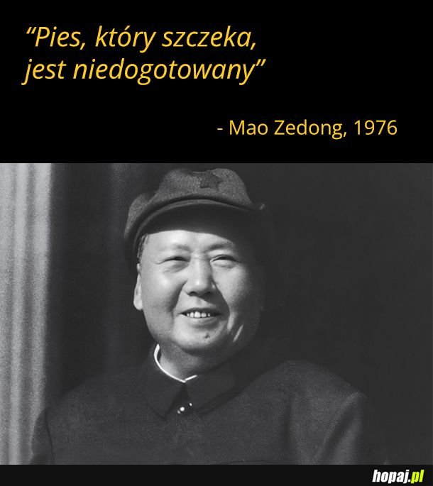 Cytaty wielkich ludzi