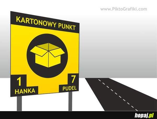 Kartonowy punkt