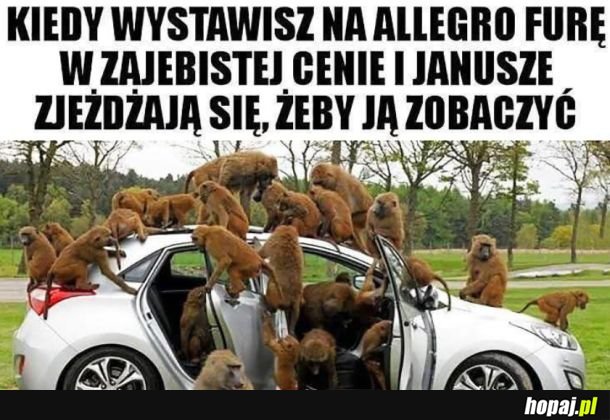 Janusze