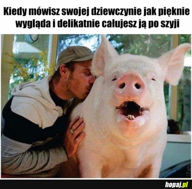 LOSZKI TO LUBIĄ