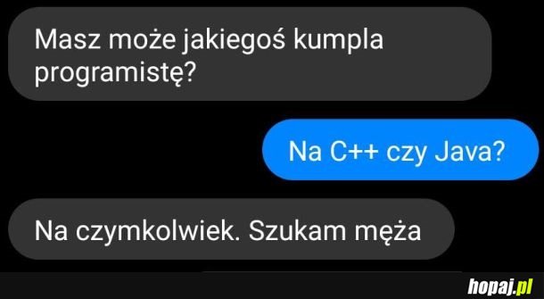 Kumpel programista poszukiwany