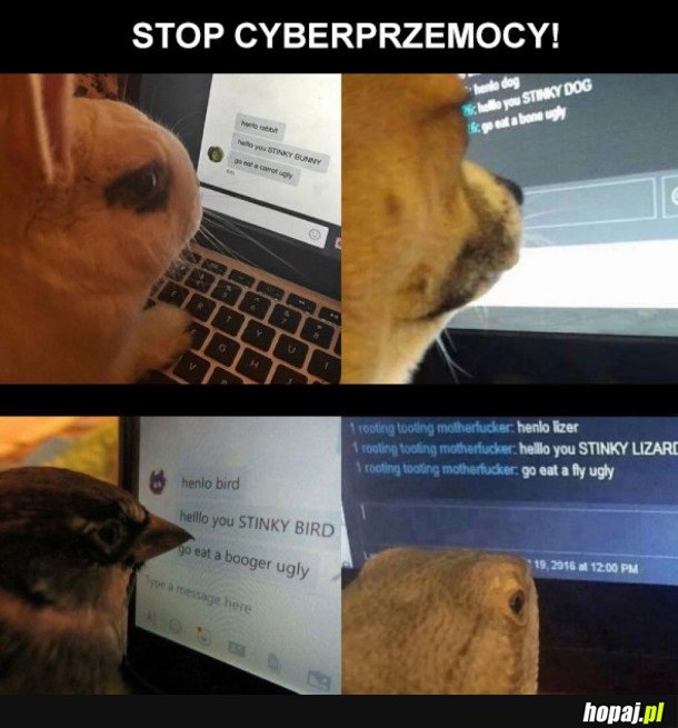 NIECH KTOŚ TO ZATRZYMA!