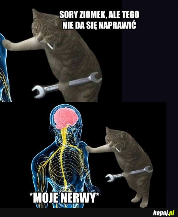 Nie da się