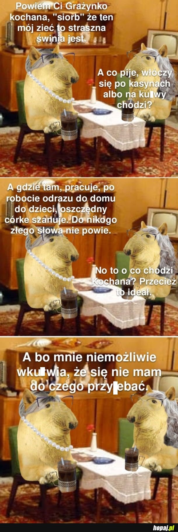 Xd