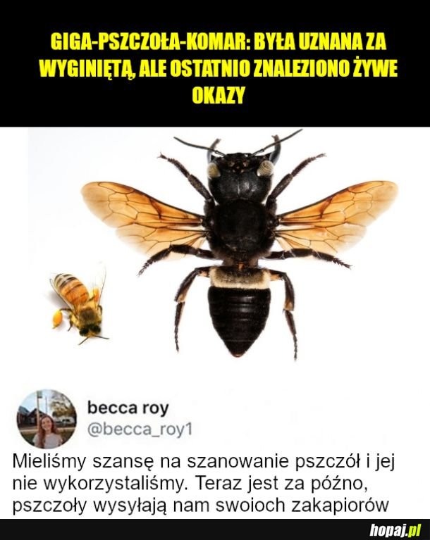 Żarty sie skończyły